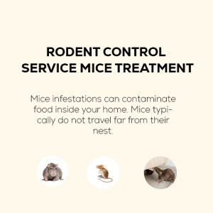 Rodent Control Service