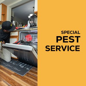 Special Pest Service