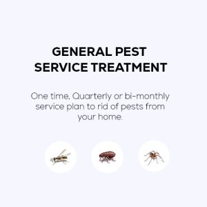 General Pest Service Treatment